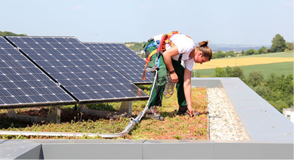Solar panel project
